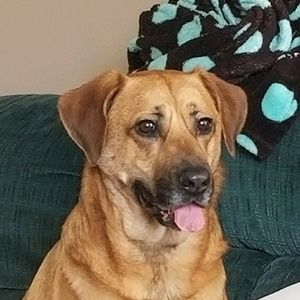 Meet your Posher, Catherine